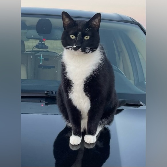 Meet your Posher, Kelly - Picture 5 of 8